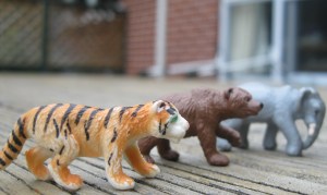 tiger bear elephant