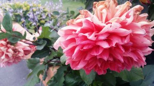 20150127_080914